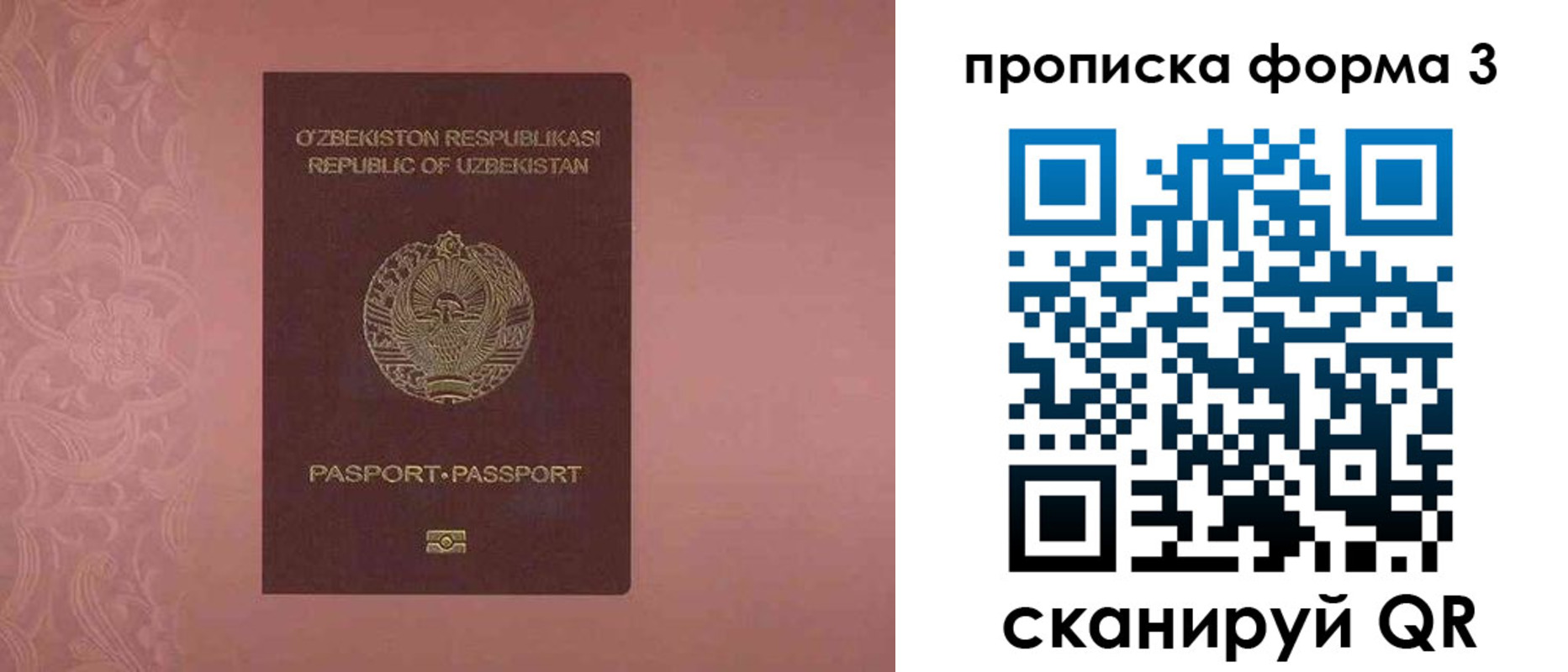 регистрация в Завитинске